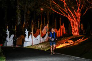 BIB: 
                            <button type="button" onclick="openModal(22511288)" class="btn btn-primary btn-sm float-right btn-popup" data-toggle="modal" data-target=".modal-high-quality">
                        <i class="fas fa-shopping-cart"></i> Add to Cart
                    </button>
                                            <button type="button" onclick="isThisMe(22511288, true)" class="btn btn-success btn-sm float-right btn-popup btn-isme hidden" data-toggle="tooltip" data-placement="bottom" title="นี่คือรูปของคุณใช่ไหม คลิกที่นี่เพื่อเอาเข้าอัลบั้ม">
                        <i class="fas fa-plus"></i> Add to album
                    </button>
                    <button type="button" onclick="isThisMe(22511288, false)" class="btn btn-warning btn-sm float-right btn-popup btn-isnotme hidden">
                        <i class="fas fa-ban"></i> Remove from album
                    </button>